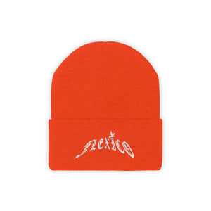 FLEXICO Knit Beanie