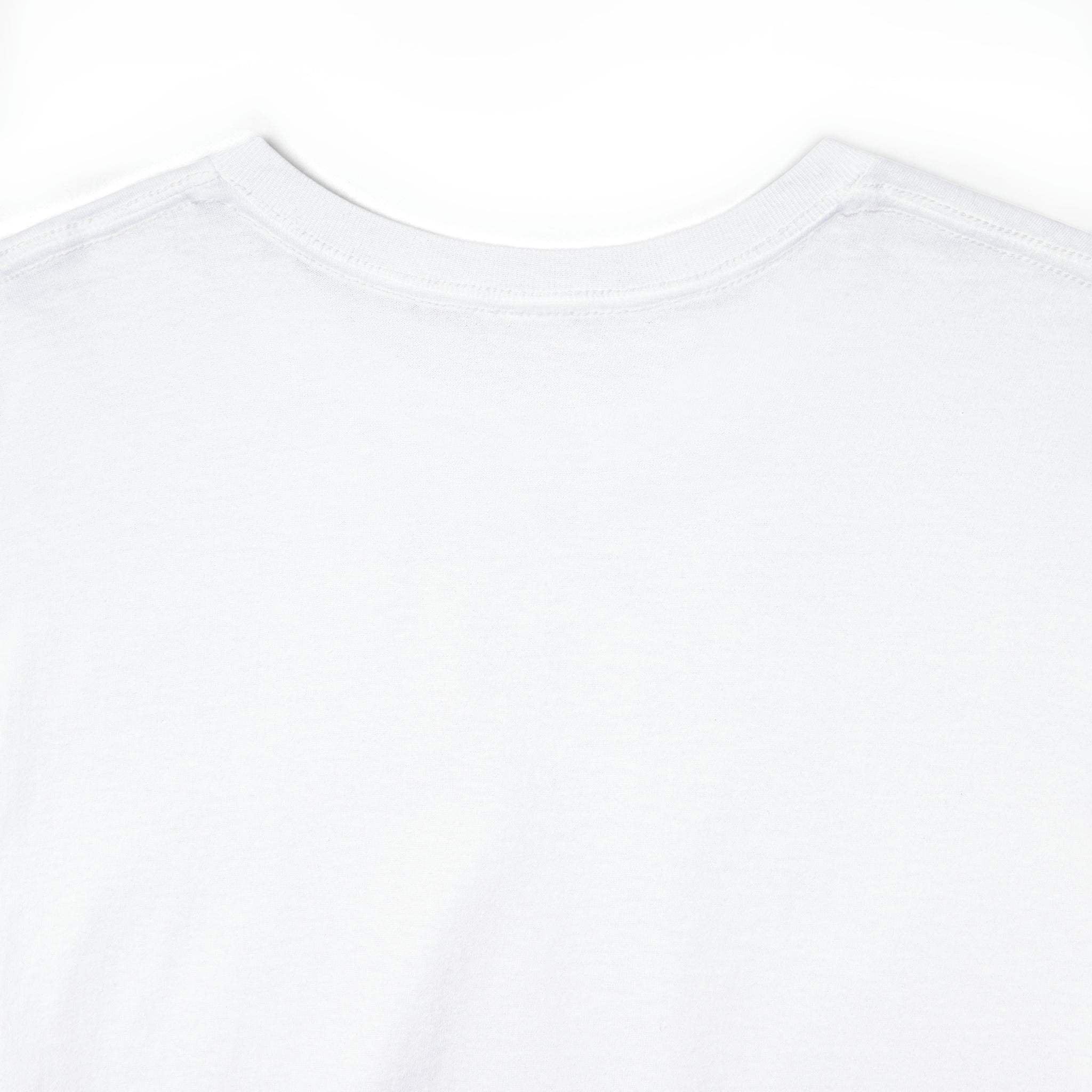 FLEXICO PAINT LOGO T