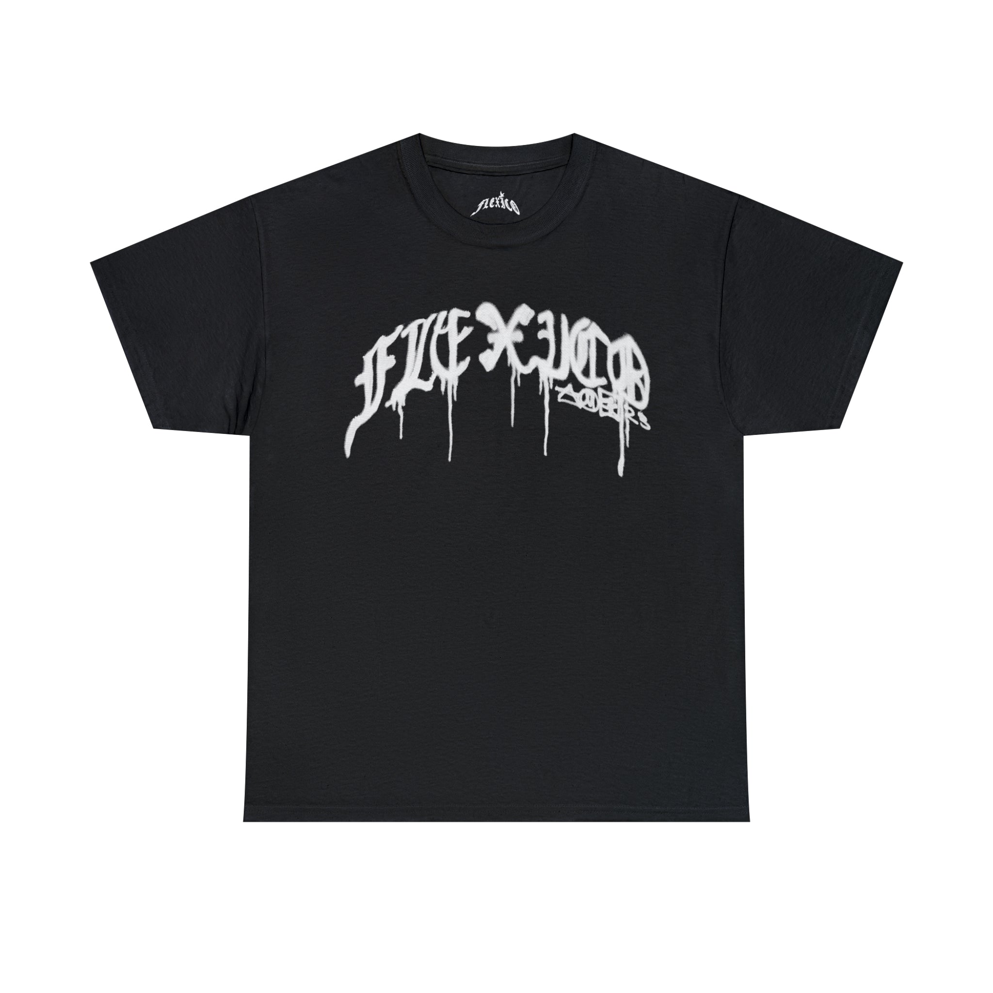 FLEXICO PAINT LOGO T