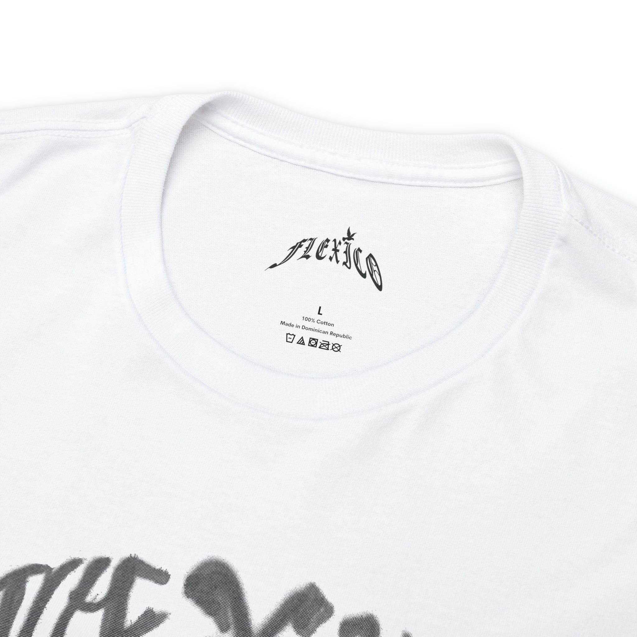 FLEXICO PAINT LOGO T