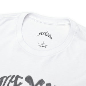 FLEXICO PAINT LOGO T