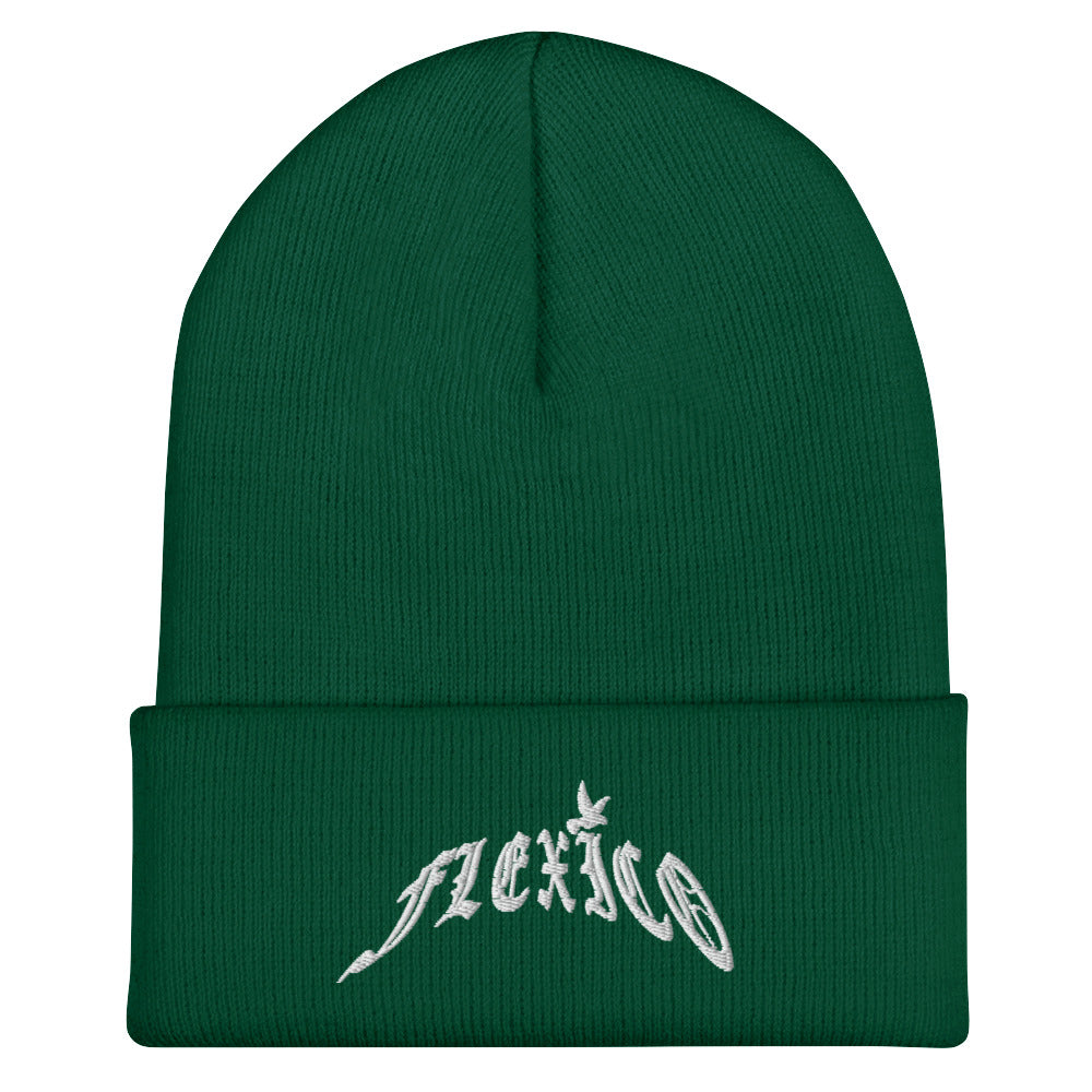 FLEXICO BEANIE